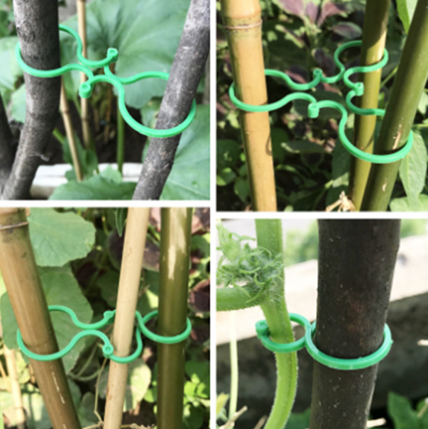 Clip per Piante in Plastica - Set 50/100 Pezzi