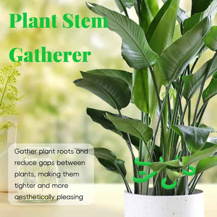 Supporti per Foglie Alocasia e Monstera - Set 4 Pezzi per Piante Rampicanti