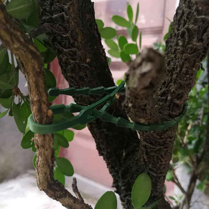 Fascette Nylon Regolabili Riutilizzabili per Piante - Set Organizer Giardino