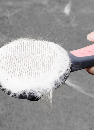 Pet Grooming Cat Comb Dog Comb Cat Hair Brush - OrizonShop
