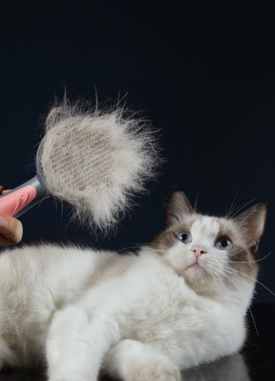 Pet Grooming Cat Comb Dog Comb Cat Hair Brush - OrizonShop