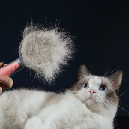 Pet Grooming Cat Comb Dog Comb Cat Hair Brush - OrizonShop