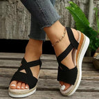 Black / 36