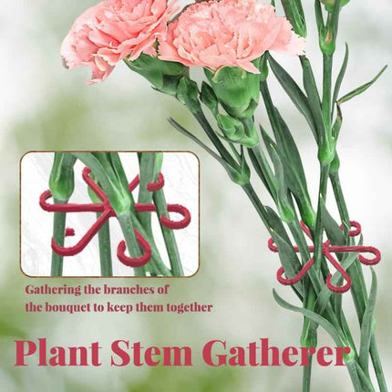 Supporti per Foglie Alocasia e Monstera - Set 4 Pezzi per Piante Rampicanti