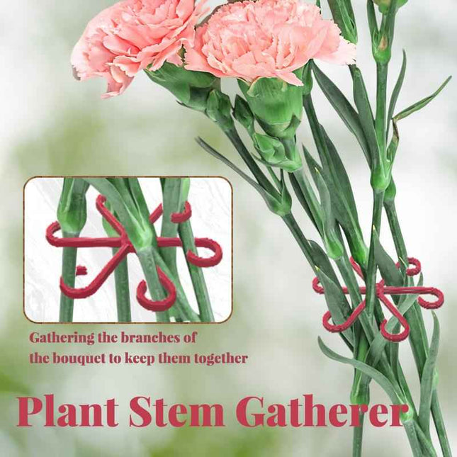 Supporti per Foglie Alocasia e Monstera - Set 4 Pezzi per Piante Rampicanti